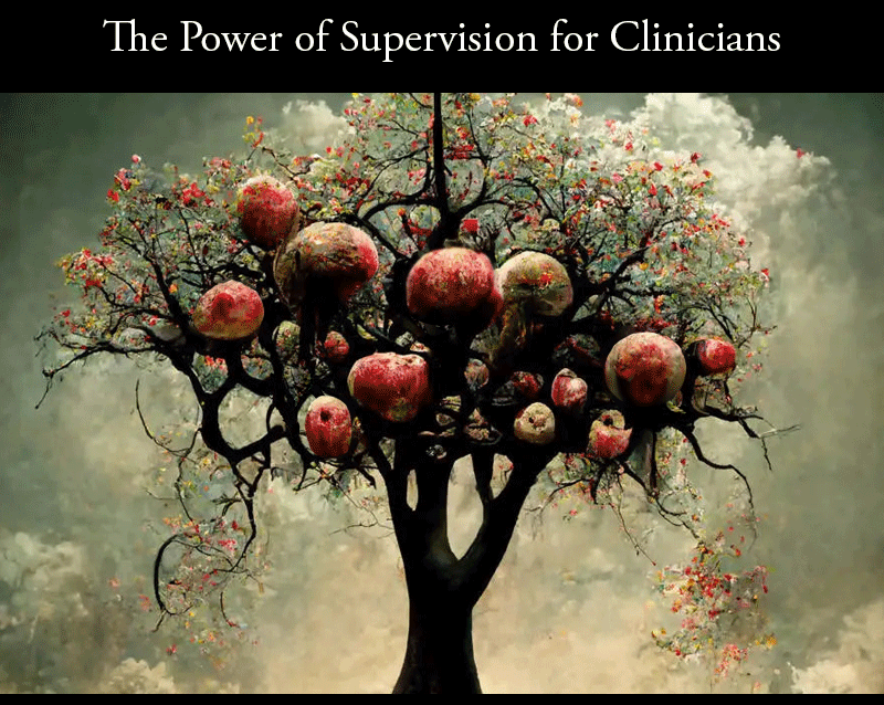 Salon: The Power of Supervision for Clinicians